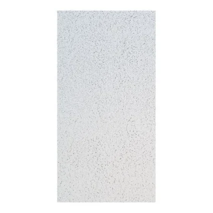 Baroque™ 2’x4’ Ceiling Tile